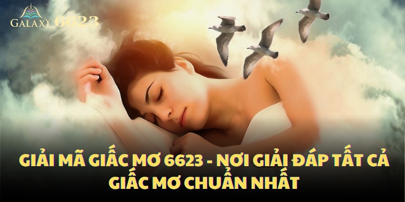 giai-ma-giac-mo-6623-noi-giai-dap-tat-ca-giac-mo-chuan-nhat